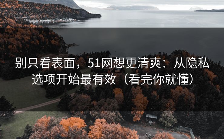 别只看表面,51网想更清爽:从隐私选项开始最有效(看完你就懂) 别只看表面,51网想更清爽:从隐私选项开始最有效(看完你就懂)